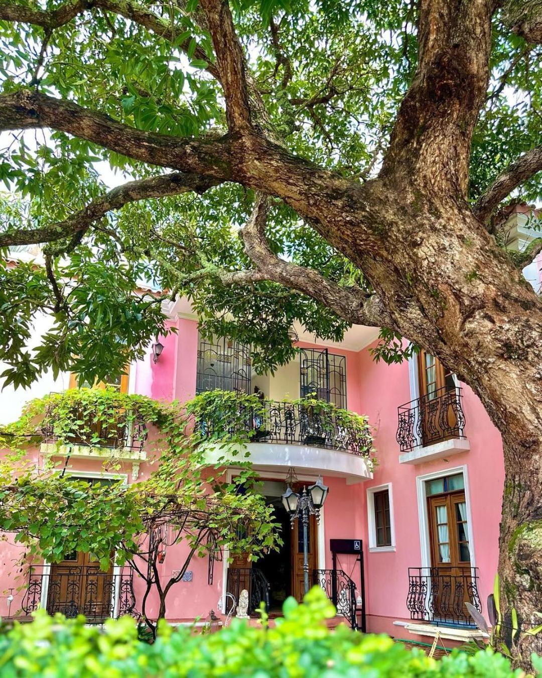 Hotel Boutique Quinta Das Videiras Florianopolis Bagian luar foto